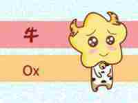 2021年牛宝宝取名字禁忌(2021牛宝宝取名禁忌)