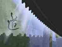 偏枯八字容易大富贵(偏枯八字更易有成就是真的吗)