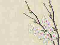 广告公司取名字大全集四个字(广告公司取名字大全集)