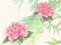 适合公司起名的寓意字大全(适合公司起名的寓意字)