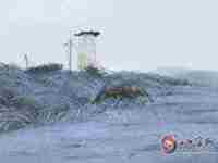 八字五行缺金的表现是什么(八字五行缺金的表现)