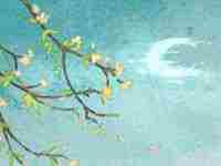 八字排盘需要姓名吗(八字排盘需要精确到分钟吗)