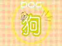 属狗和属狗的人(姻缘分析属狗和属狗的八字相合吗)