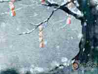 桃树为什么不可以烧(老人说桃树不能烧为什么)