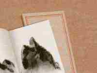 设计公司名字大全集图片(设计公司名字大全集)