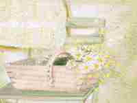 金火夫妻如何化解相克相冲(金火夫妻如何化解相克)