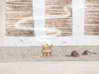 八字有双亥是双猪同槽吗