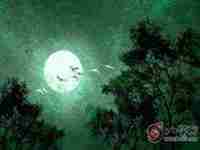 好听又拉风的dnf预创角色名字男(好听又拉风的dnf预创角色名字男)