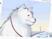 川字掌纹的女人手相图解(川字掌纹的女人手相)