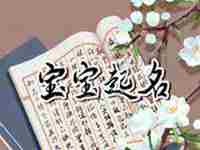 姓张的虎宝宝(虎宝宝张姓满分名字)