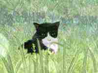 属鸡人今年犯太岁如何化解(今年犯太岁如何化解)