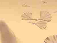 脸上痣不宜出什么意思(脸上痣长这几处地方不适合自己创业)