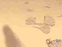 2020鼠年12月出生的男宝宝取什么名字好听(2020鼠年12月出生的男宝宝取什么名字)