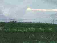 八字硬克夫吗(八字硬克夫该如何化解)