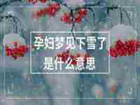 孕妇梦见下大雨是什么意思没有打伞(孕妇梦见下大雨是什么意思)