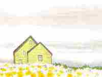 八字纯阴的男人财运(八字纯阴的男人这辈子能够迎来好运吗)