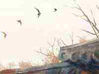 什么样的八字偏财旺(什么样的八字有偏财运)