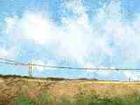 八字中伤官旺(八字伤官旺的女人事业)