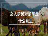 女人梦见好多羊是什么意思啊(女人梦见好多羊是什么意思)