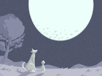 女孩天庭饱满是不是有福气呀(女孩天庭饱满是不是有福气)