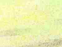 室内屏风用什么材料好(室内屏风能为你消灾解难吗)