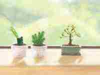 偏财运的八字(有偏财运八字)