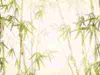 八字姻缘占卜(姻缘占卜)