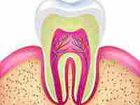 32颗牙齿说明什么(话说32颗牙齿究竟是怎么一回事呢)