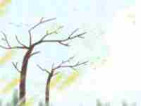 结婚看八字怎么看(结婚看八字怎么合日子)