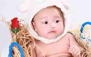 金水宝宝是什么意思