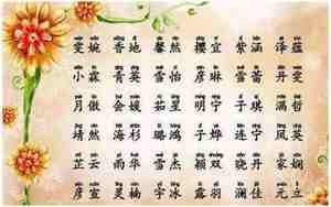 两个字的姓氏好听好看,两个字的姓氏好听的有哪些