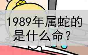 1990年生肖蛇是什么命