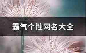 个性霸道网名霸气网名