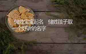 储姓的男孩名字大全