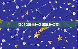 2012年是什么命