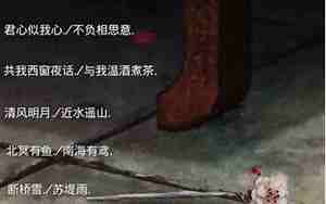 天真网名,天真网名的情侣名字大全