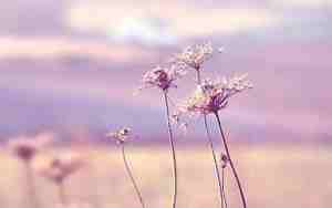 关于悦的网名,关于悦的网名女生