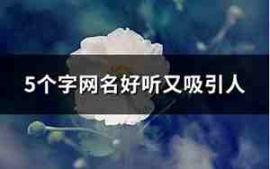 网名八五,八网名好听又吸引人女生