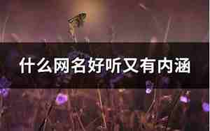 什么网名既好听又有内涵