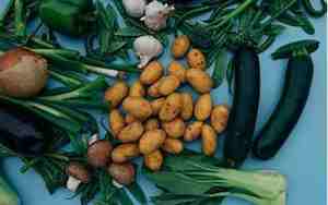 买卖蔬菜公司名字大全集，买卖蔬菜公司名字大全集最新