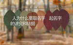 为什么要取这个名字作文50个字