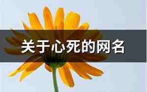心已经死的网名