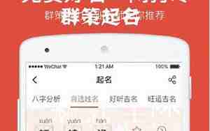 群策起名