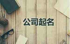 子公司的公司名称