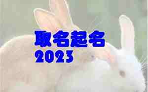 兔宝宝叫什么名字好听