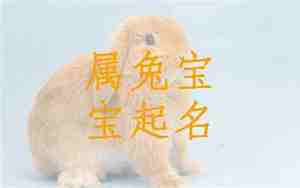 好听的兔宝宝名字