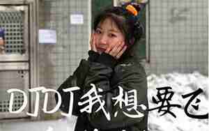 好听的dj名字大全加翻译