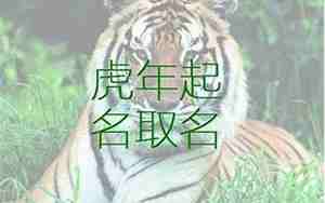属虎取名宜忌用字大全