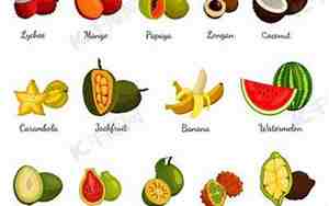 关于芒果团队的名牌