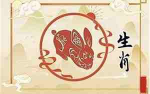 1999年属兔最佳结婚对象